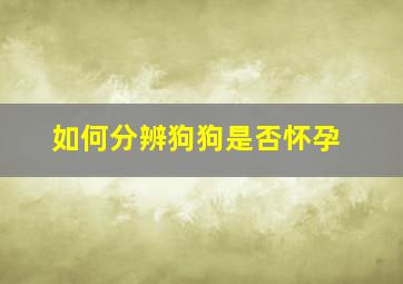 如何分辨狗狗是否怀孕