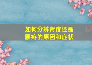 如何分辨肾疼还是腰疼的原因和症状