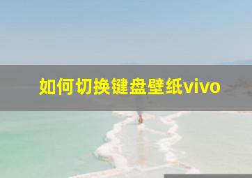 如何切换键盘壁纸vivo