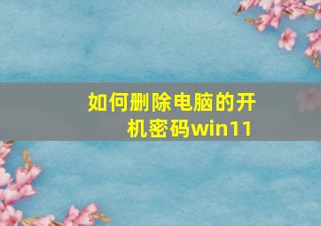 如何删除电脑的开机密码win11