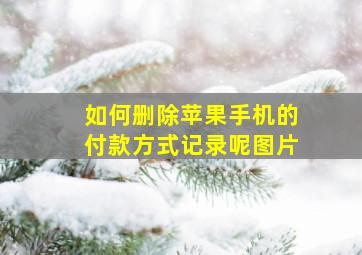 如何删除苹果手机的付款方式记录呢图片