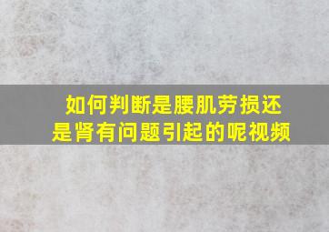 如何判断是腰肌劳损还是肾有问题引起的呢视频