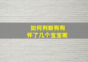 如何判断狗狗怀了几个宝宝呢