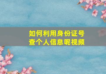 如何利用身份证号查个人信息呢视频