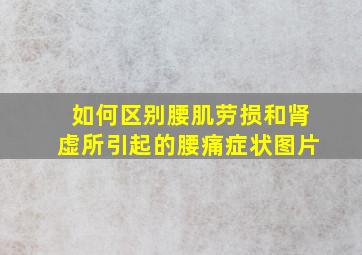 如何区别腰肌劳损和肾虚所引起的腰痛症状图片