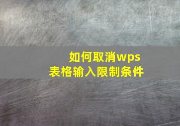 如何取消wps表格输入限制条件