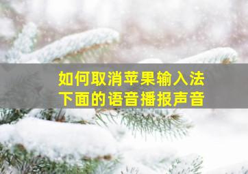 如何取消苹果输入法下面的语音播报声音