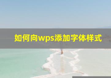 如何向wps添加字体样式