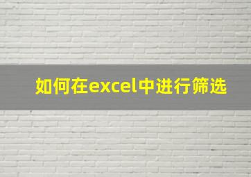 如何在excel中进行筛选