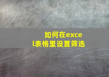 如何在excel表格里设置筛选