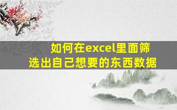 如何在excel里面筛选出自己想要的东西数据