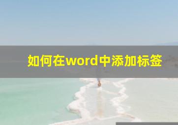 如何在word中添加标签