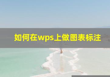 如何在wps上做图表标注