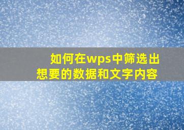 如何在wps中筛选出想要的数据和文字内容