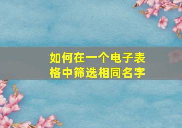 如何在一个电子表格中筛选相同名字