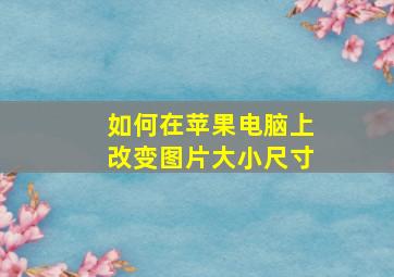 如何在苹果电脑上改变图片大小尺寸