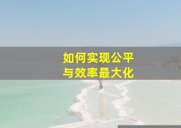 如何实现公平与效率最大化