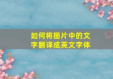 如何将图片中的文字翻译成英文字体