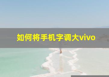 如何将手机字调大vivo