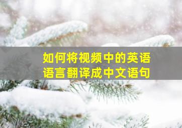 如何将视频中的英语语言翻译成中文语句