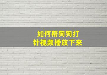 如何帮狗狗打针视频播放下来