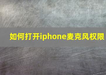 如何打开iphone麦克风权限