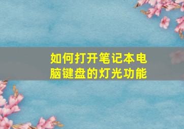 如何打开笔记本电脑键盘的灯光功能