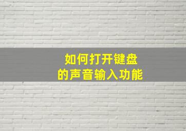 如何打开键盘的声音输入功能