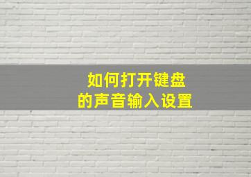 如何打开键盘的声音输入设置