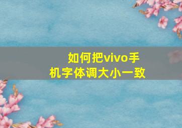 如何把vivo手机字体调大小一致