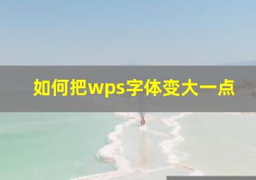 如何把wps字体变大一点