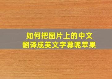 如何把图片上的中文翻译成英文字幕呢苹果