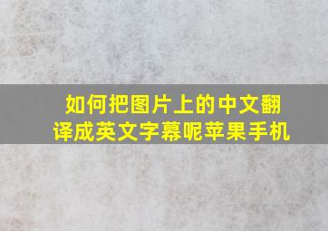 如何把图片上的中文翻译成英文字幕呢苹果手机