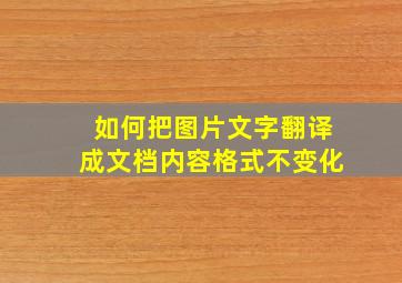 如何把图片文字翻译成文档内容格式不变化