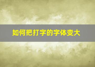 如何把打字的字体变大