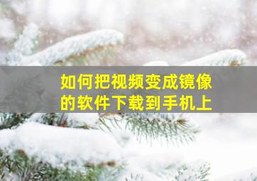 如何把视频变成镜像的软件下载到手机上