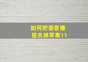 如何把语音播报关掉苹果11