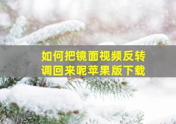 如何把镜面视频反转调回来呢苹果版下载