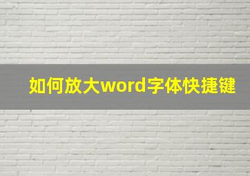 如何放大word字体快捷键