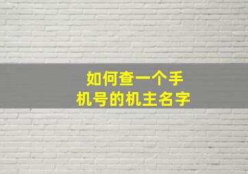 如何查一个手机号的机主名字