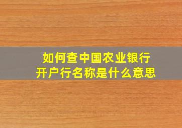 如何查中国农业银行开户行名称是什么意思