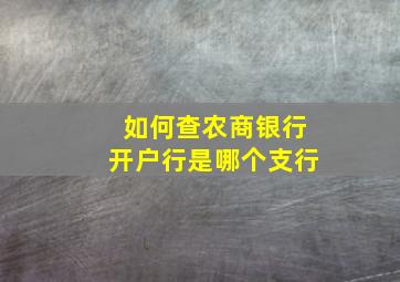 如何查农商银行开户行是哪个支行