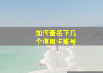 如何查名下几个信用卡账号