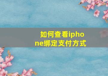 如何查看iphone绑定支付方式