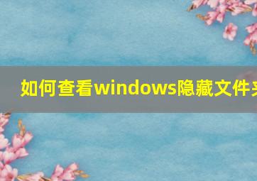 如何查看windows隐藏文件夹