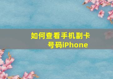 如何查看手机副卡号码iPhone