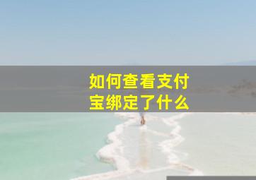 如何查看支付宝绑定了什么