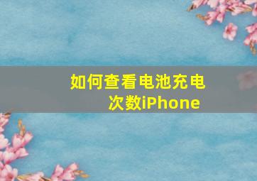 如何查看电池充电次数iPhone