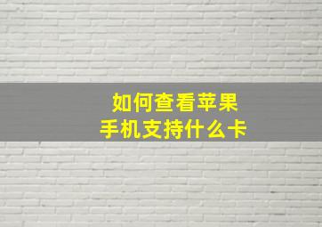 如何查看苹果手机支持什么卡