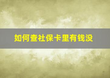 如何查社保卡里有钱没